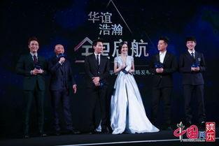 中国明星娱乐公司,中国明星娱乐公司崛起之路